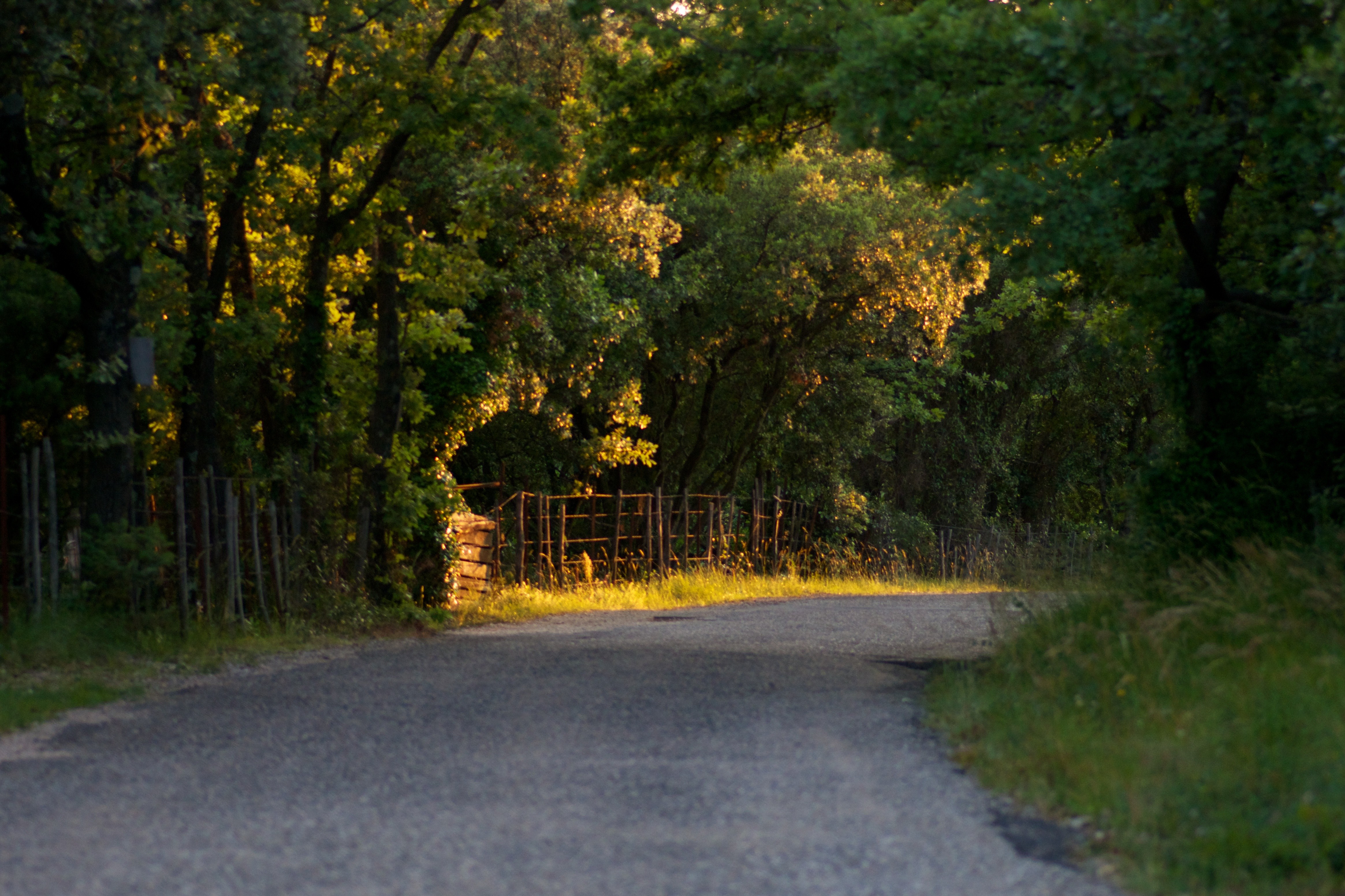 Route de Cazevieille au couché du soleil