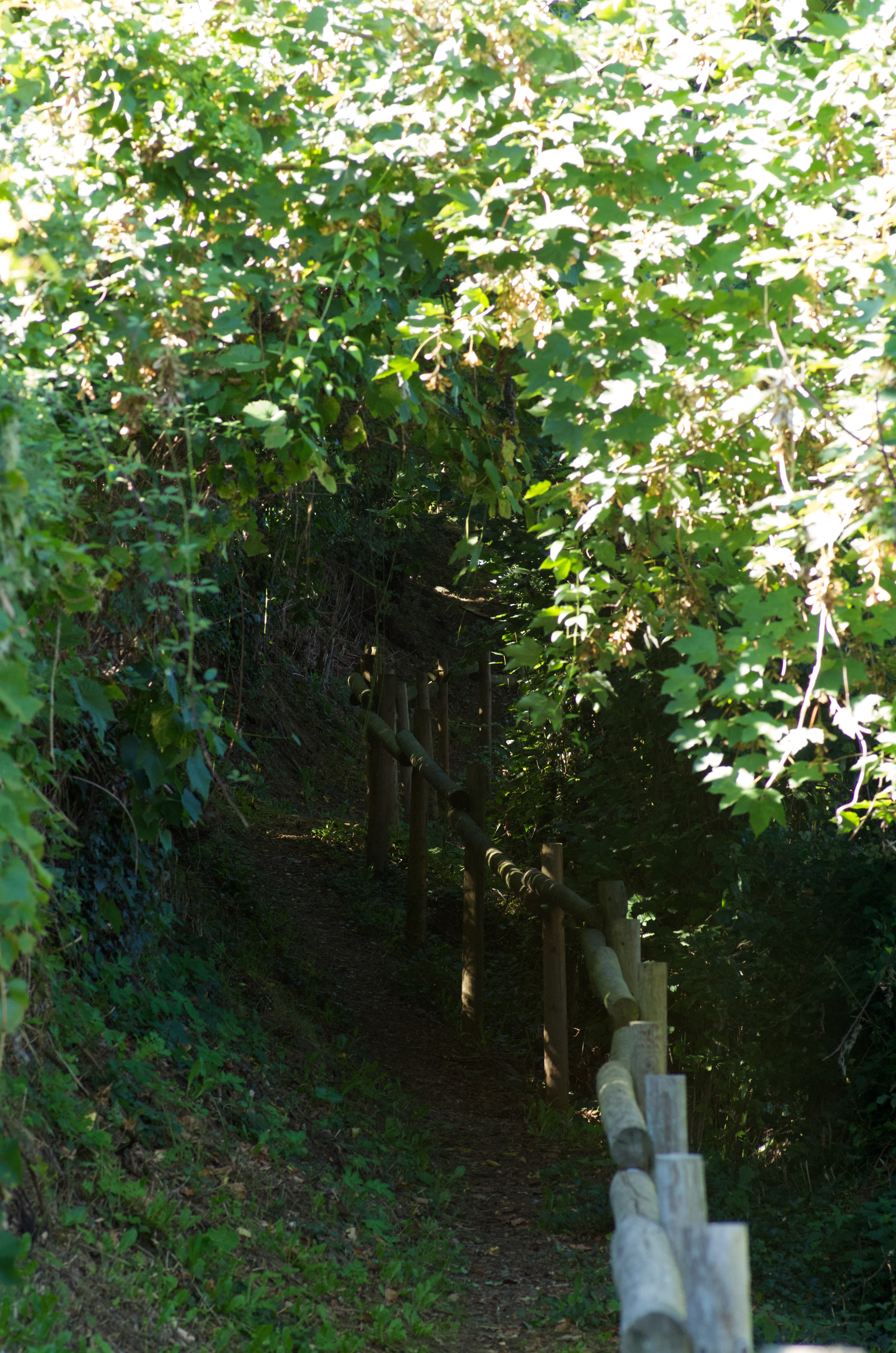 chemin à Foix