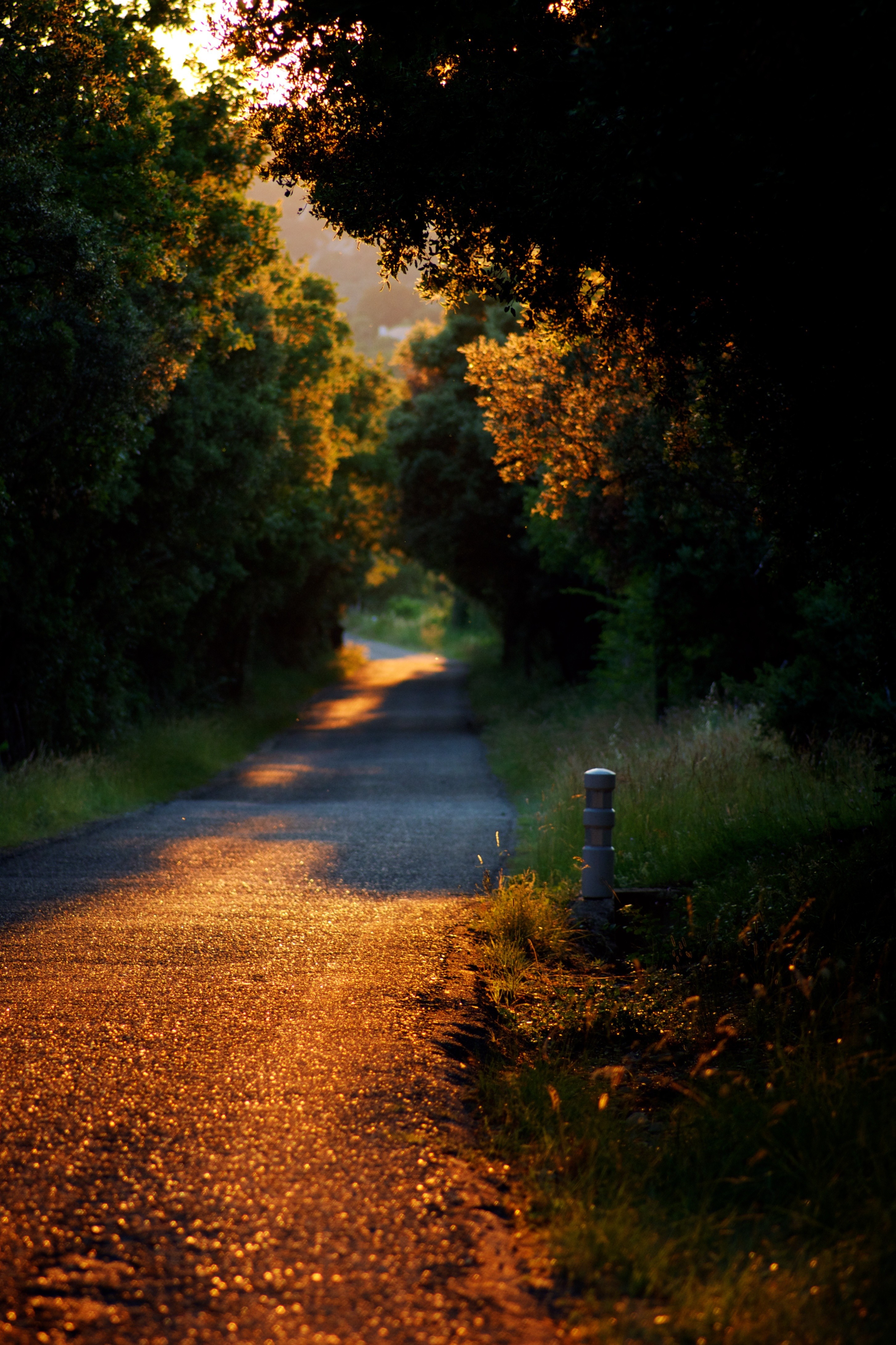 Route de Cazevieille au couché du soleil