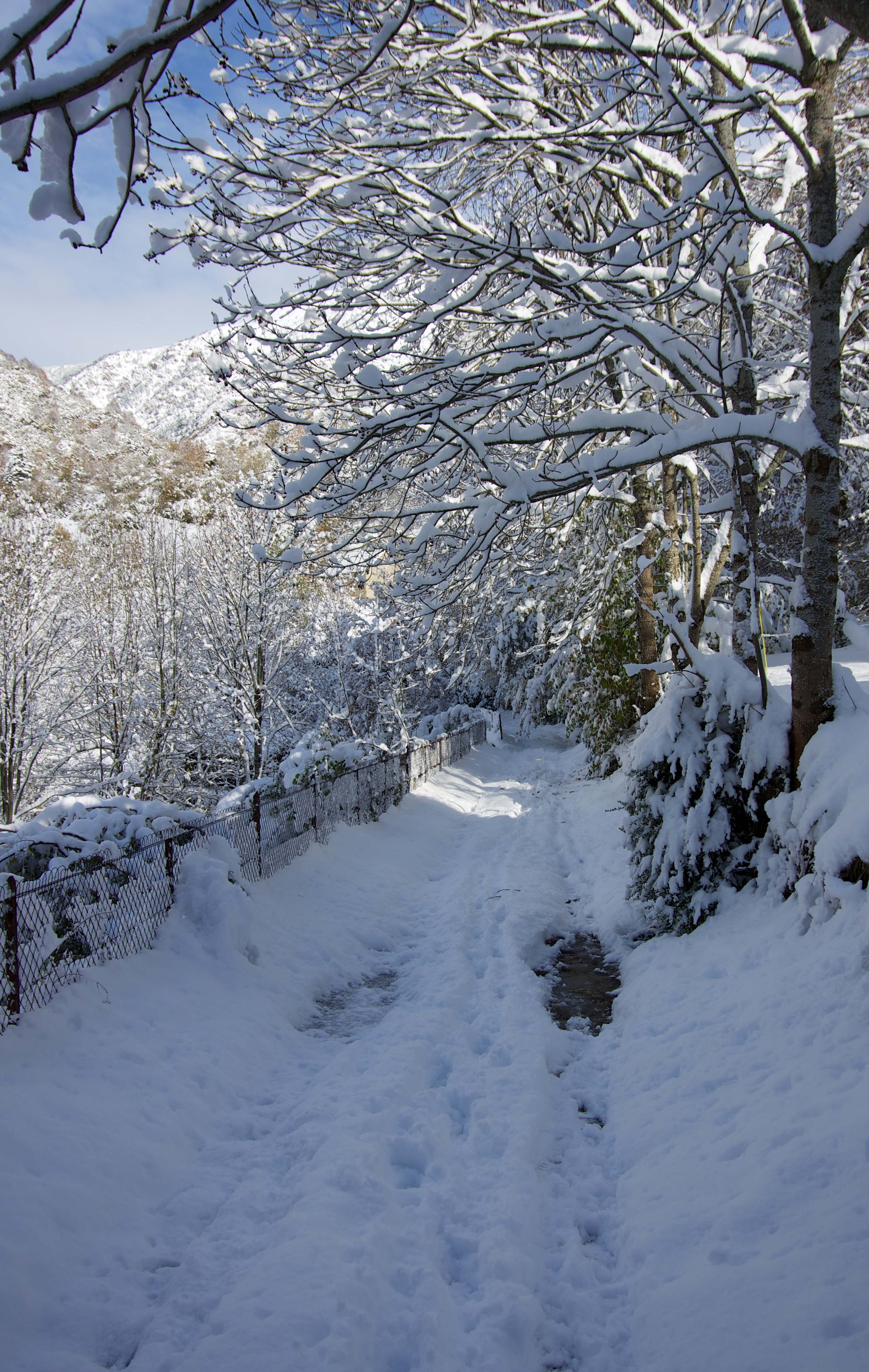 chemin enneigé
