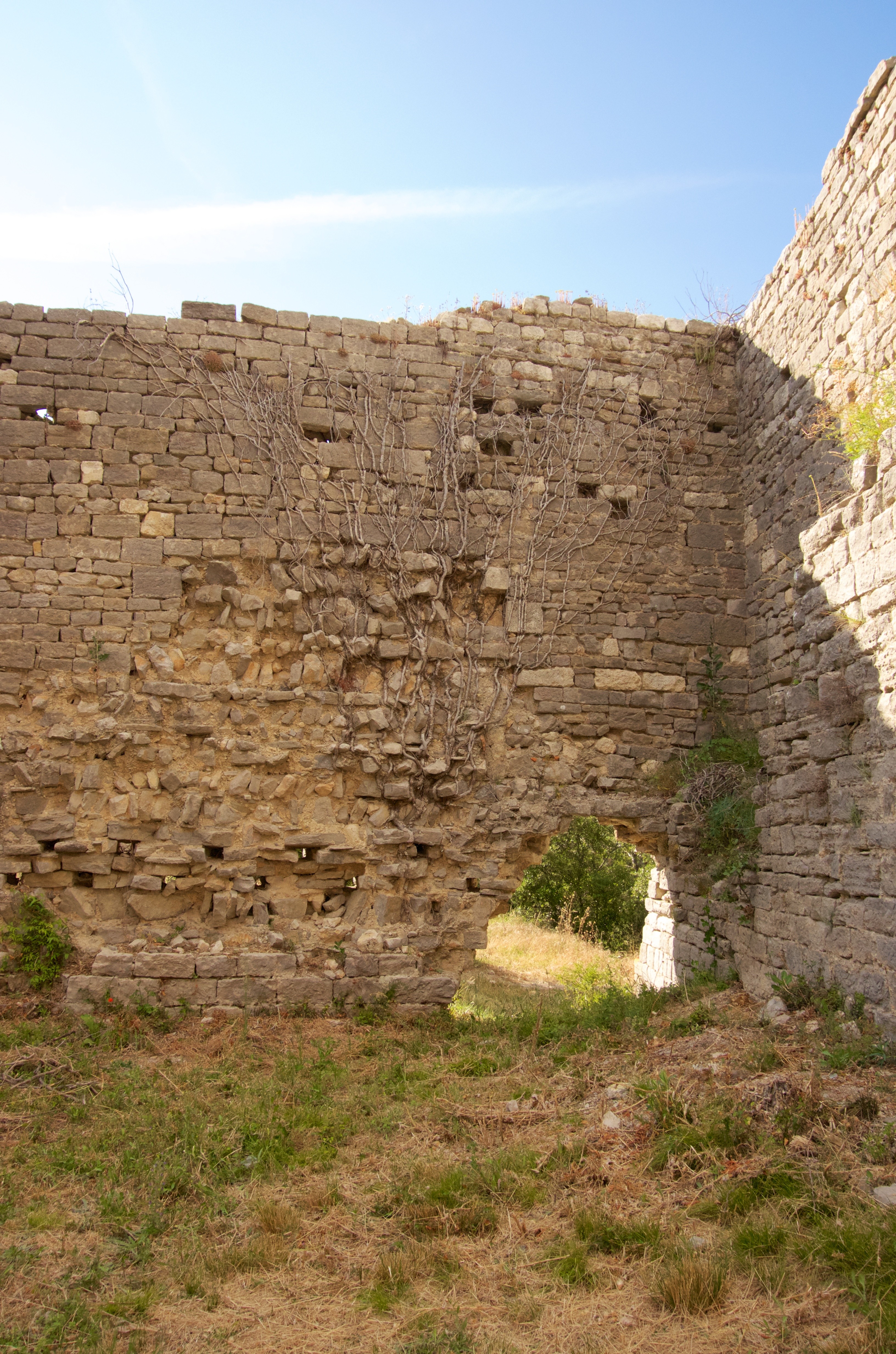 Chateau de Montlaur