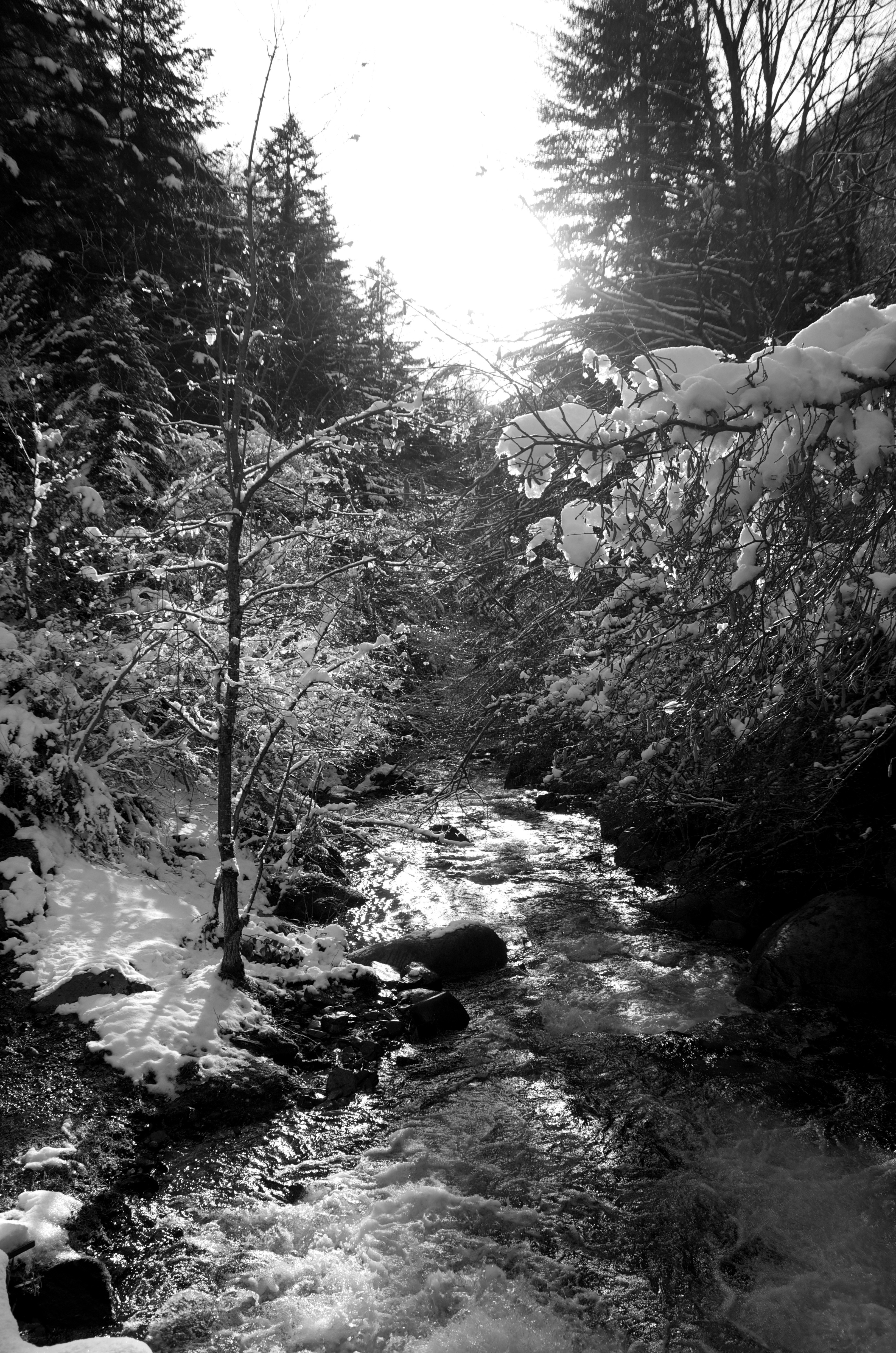Ruisseau à Fabian