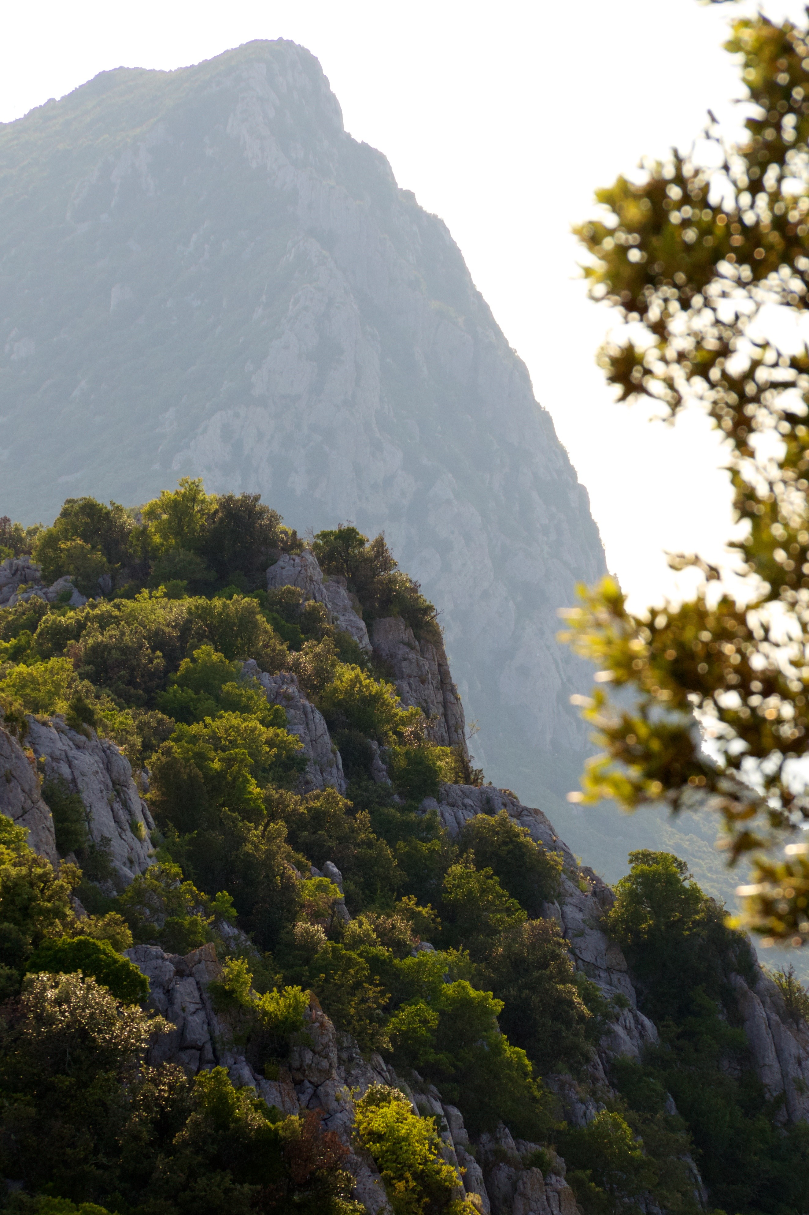 Pic St Loup
