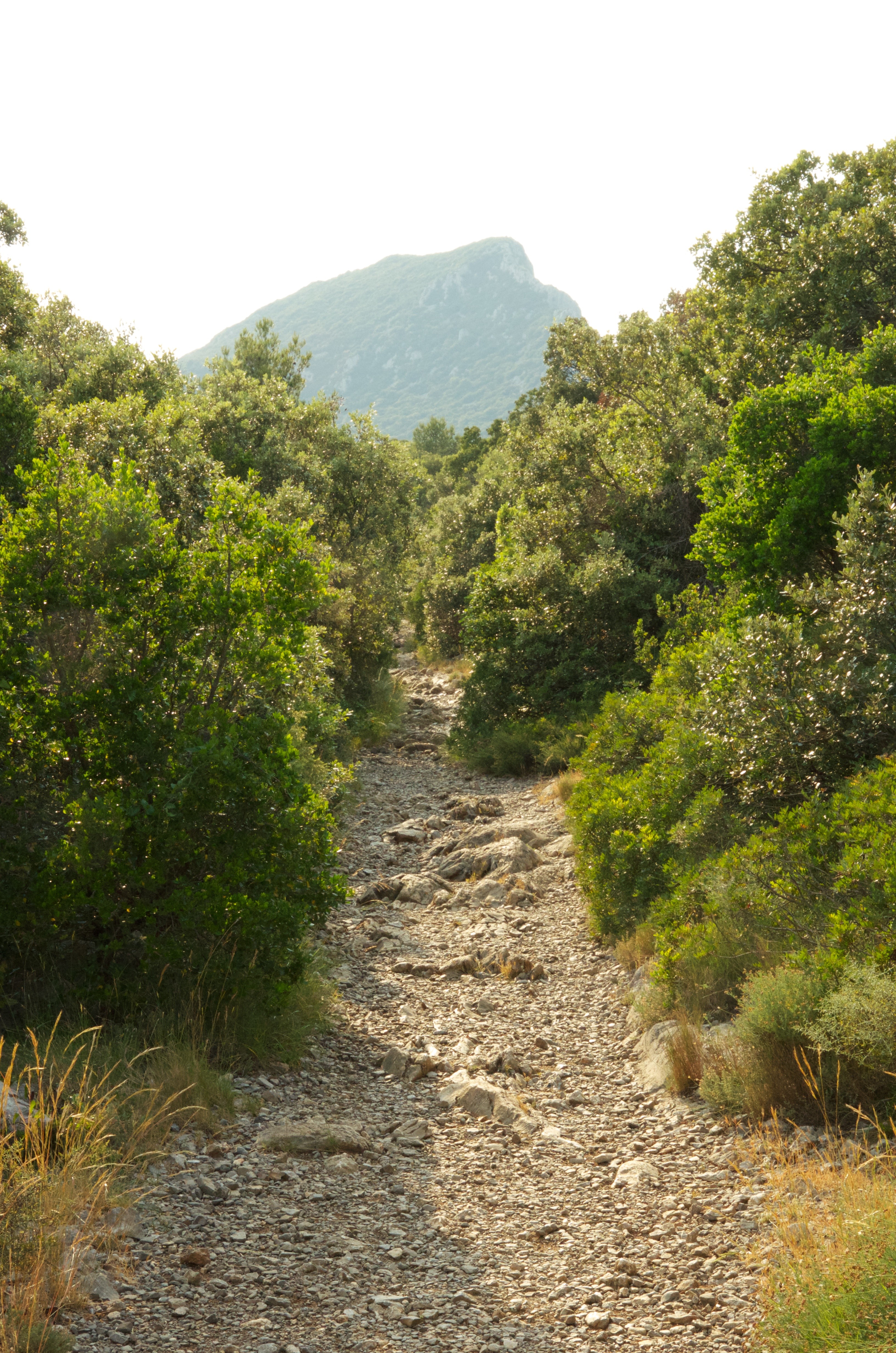 chemin vers le pic st loup